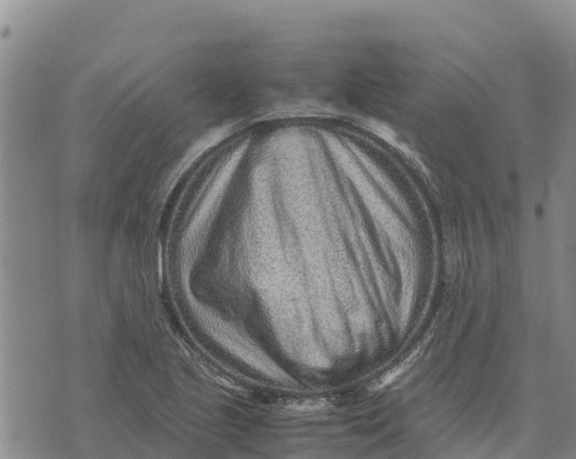 X0000072531221200608041549