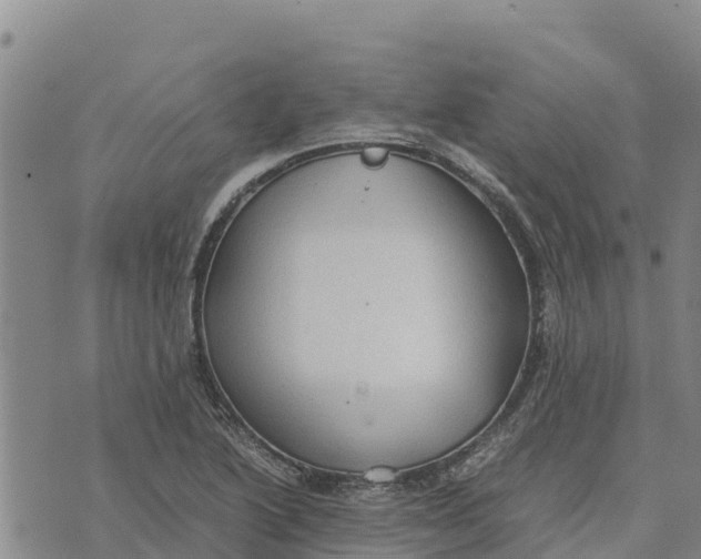 X0000072531222200608041549