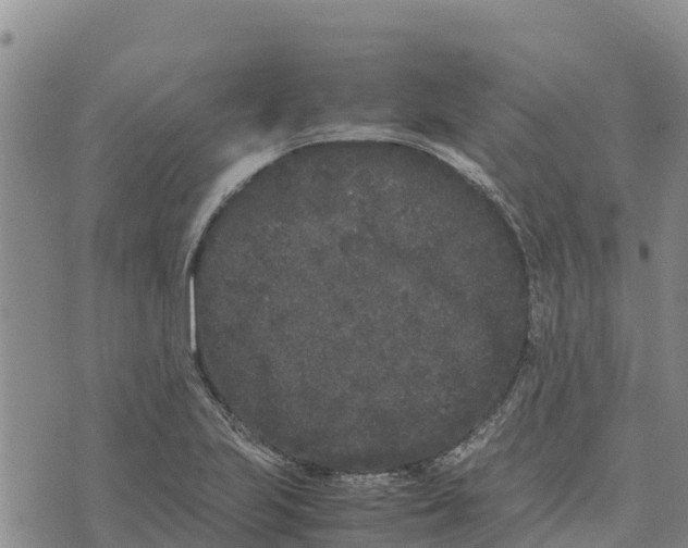 X0000072531223200608041549