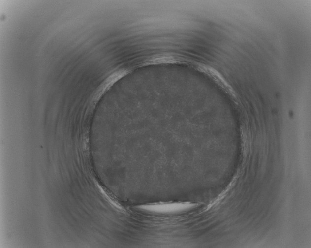 X0000072531225200608041549