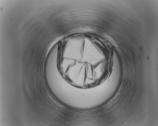 X0000072531226200608041549