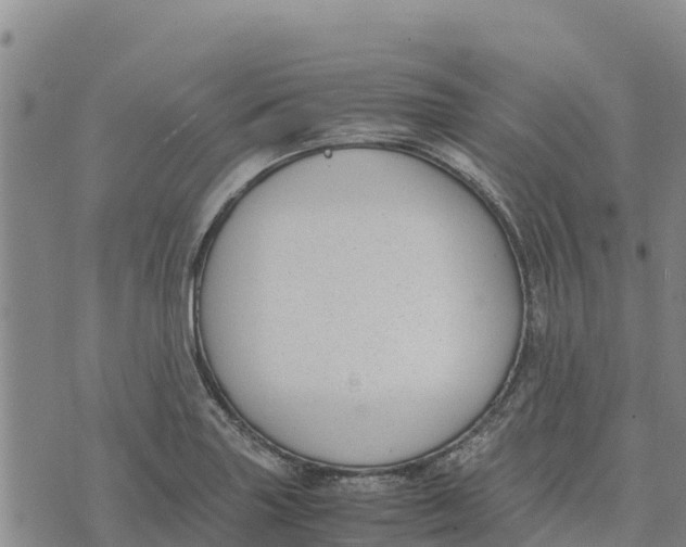 X0000072531227200608041549