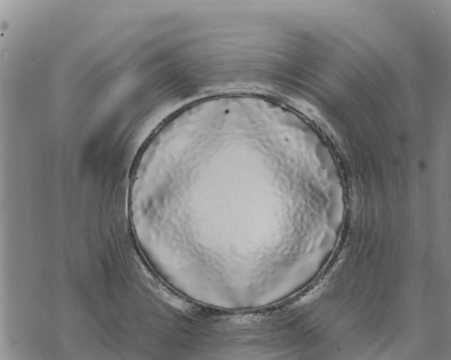 X0000072531228200608041549