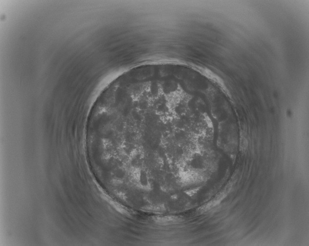 X0000072531231200608041549