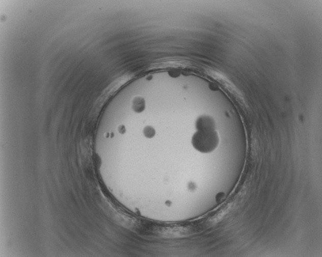 X0000072531233200608041549