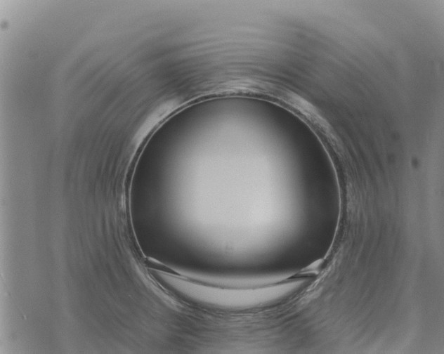 X0000072531234200608041549