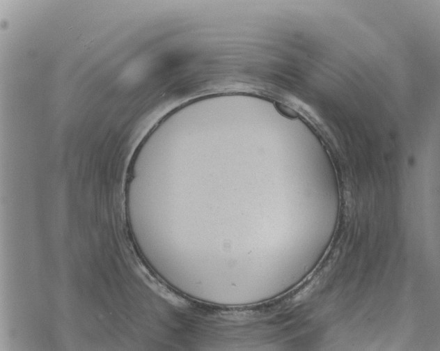 X0000072531236200608041549