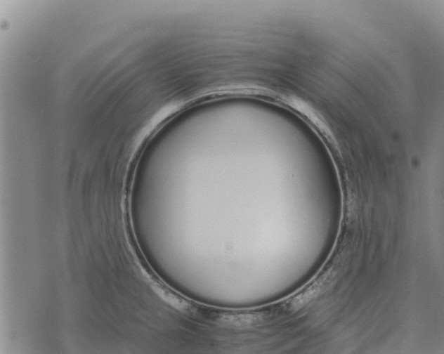 X0000072531237200608041549