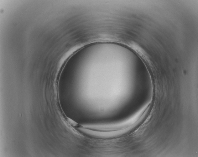 X0000072531238200608041549