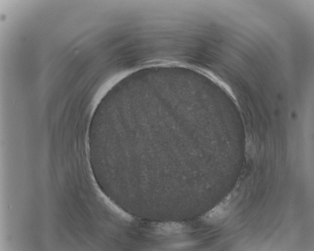 X0000072531239200608041549