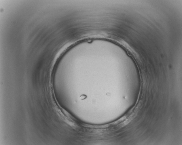 X0000072531240200608041549