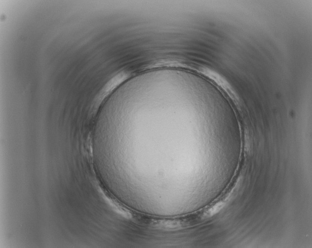 X0000072531241200608041549