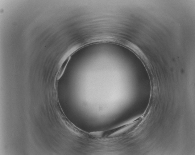 X0000072531242200608041549