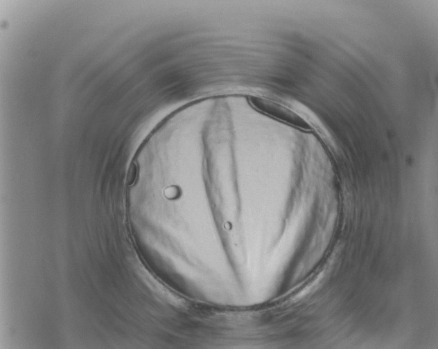 X0000072531244200608041549