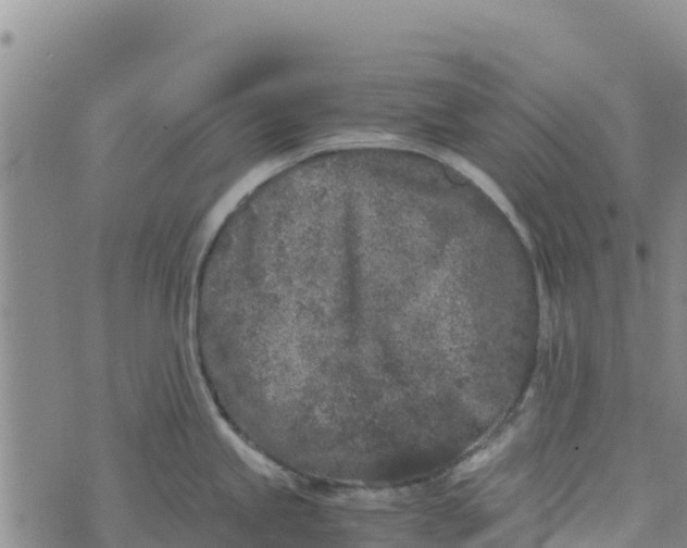 X0000072531245200608041549