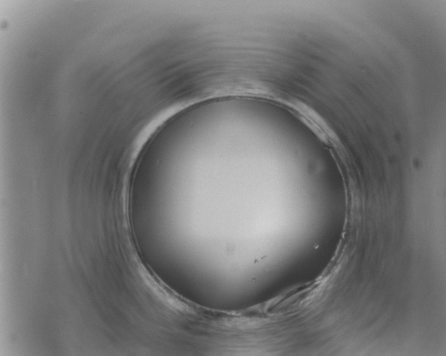 X0000072531246200608041549