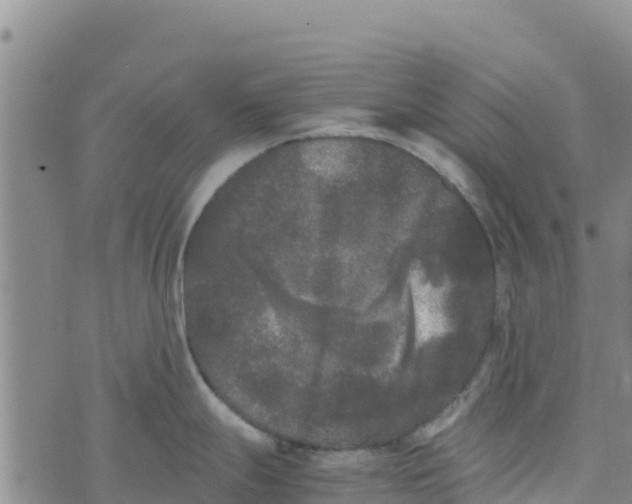 X0000072531247200608041549