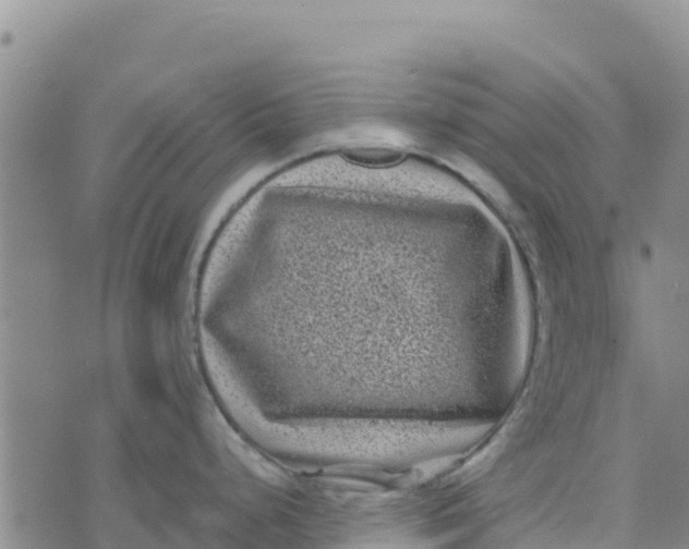 X0000072531248200608041549