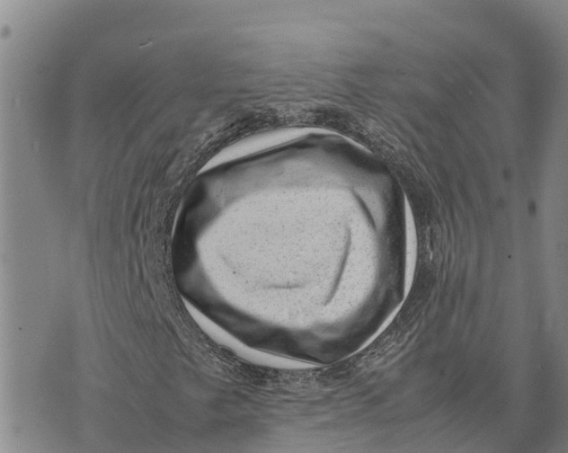 X0000072531249200608041548