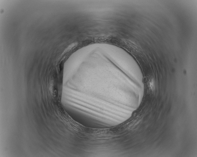 X0000072531252200608041548