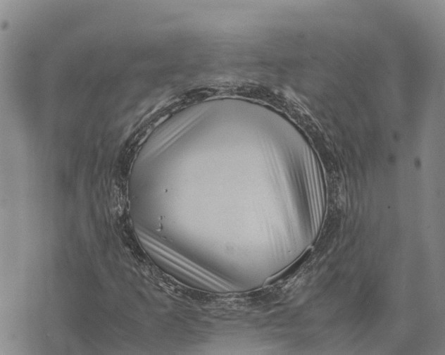 X0000072531253200608041548