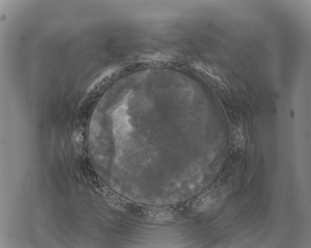 X0000072531254200608041548