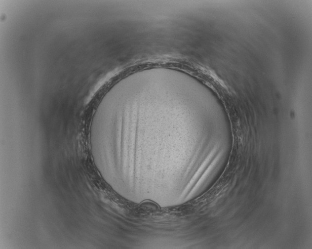 X0000072531256200608041548