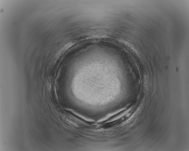 X0000072531257200608041548