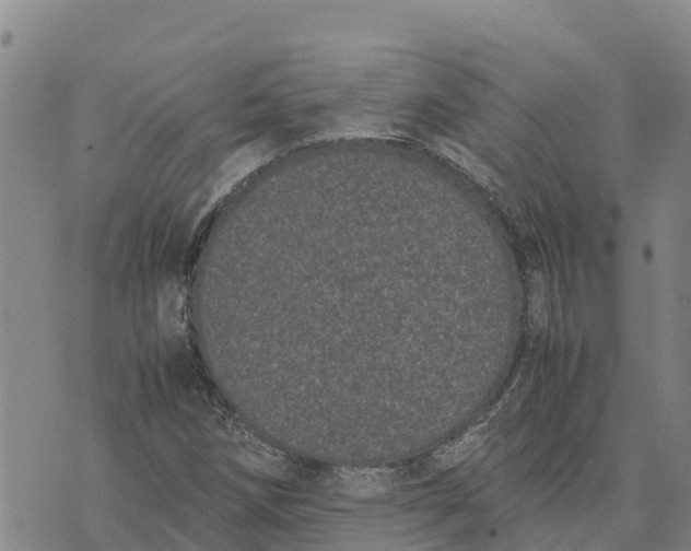 X0000072531258200608041548