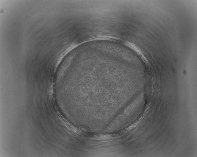 X0000072531260200608041548