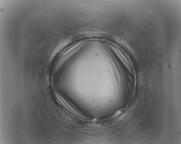 X0000072531261200608041548