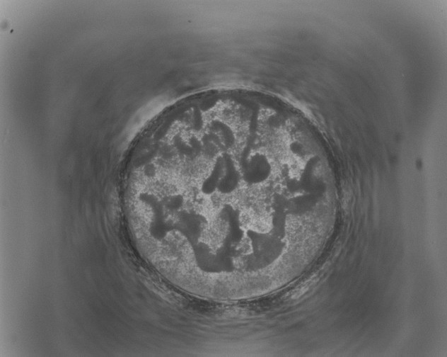 X0000072531263200608041548