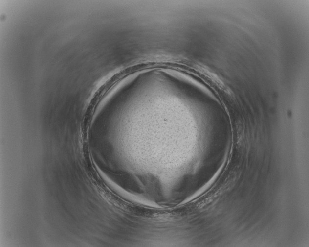 X0000072531264200608041548