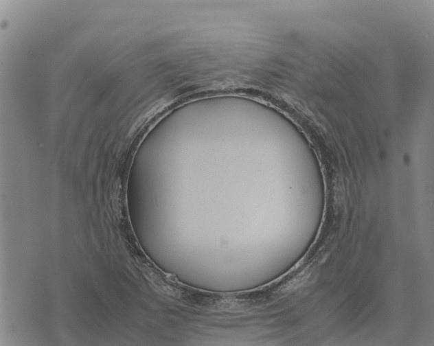 X0000072531265200608041548