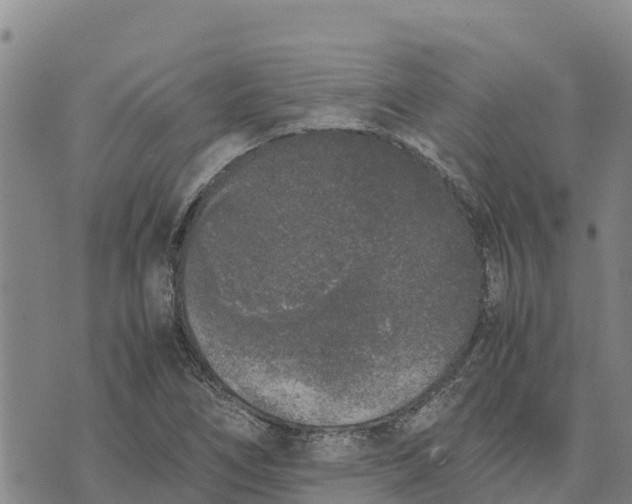 X0000072531266200608041548