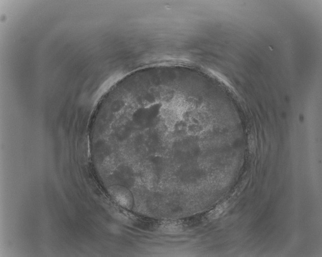 X0000072531267200608041548