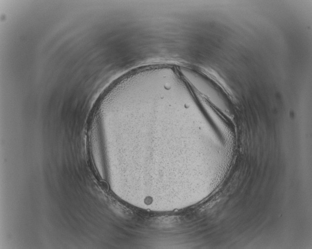 X0000072531268200608041548