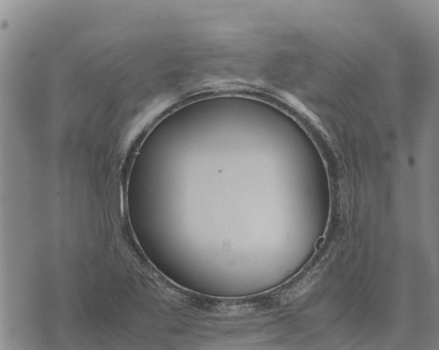 X0000072531269200608041548