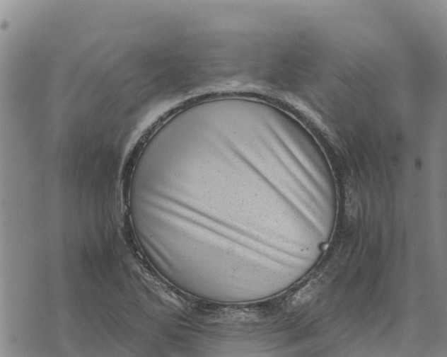 X0000072531270200608041548