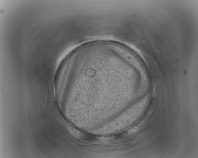 X0000072531271200608041548