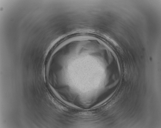 X0000072531272200608041548