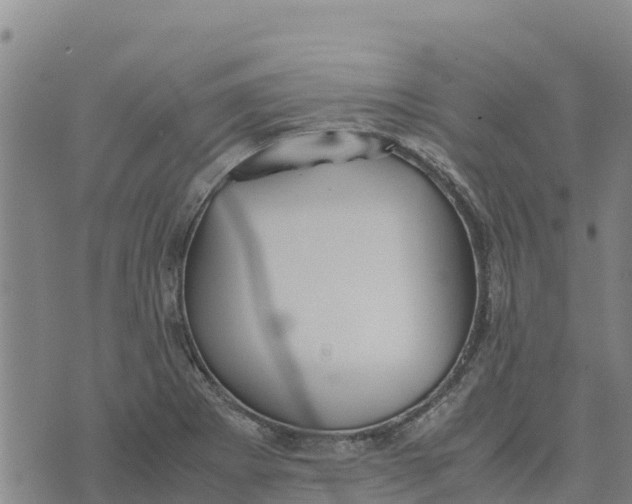 X0000072531273200608041548