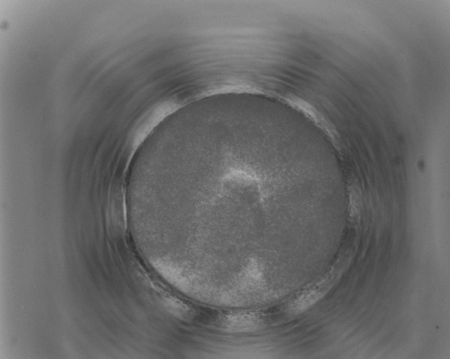 X0000072531274200608041548