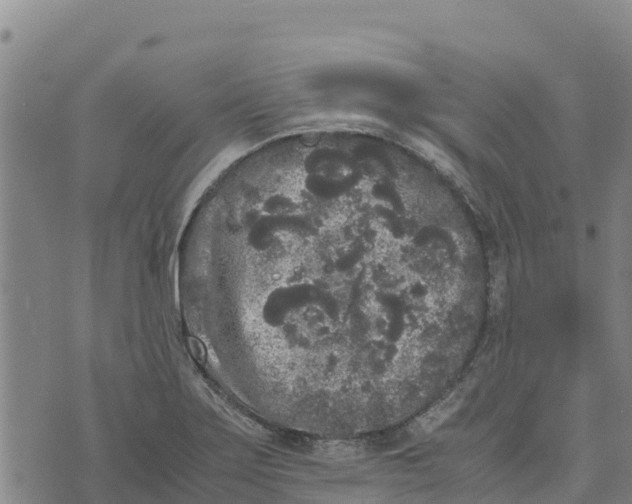 X0000072531275200608041548