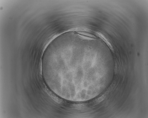 X0000072531276200608041548