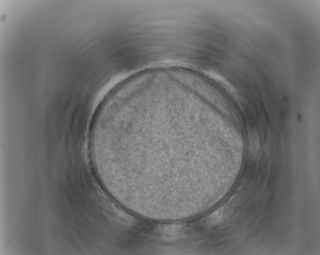 X0000072531278200608041548