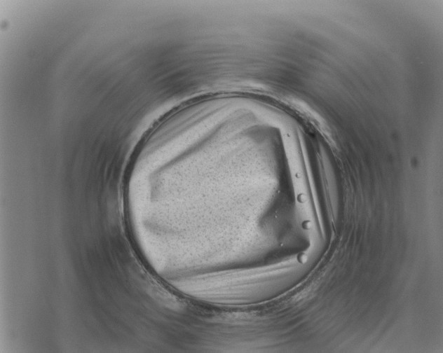 X0000072531280200608041548