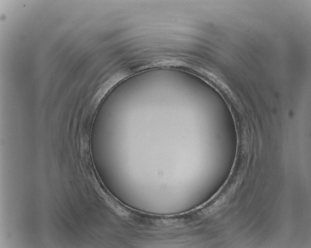 X0000072531281200608041548