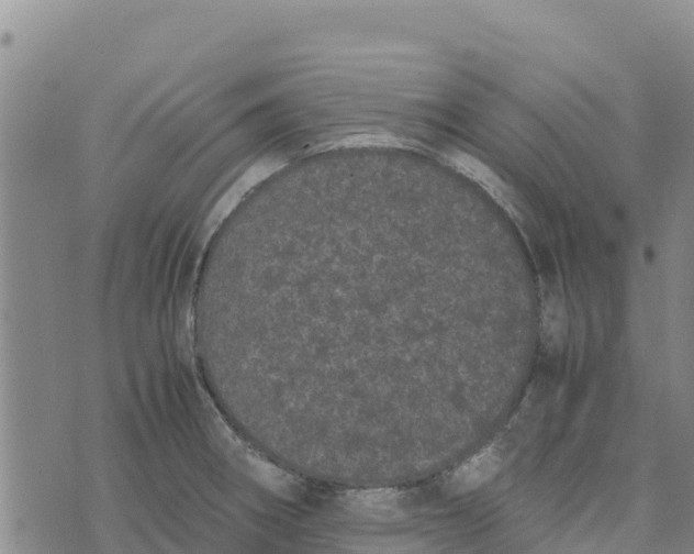 X0000072531282200608041548