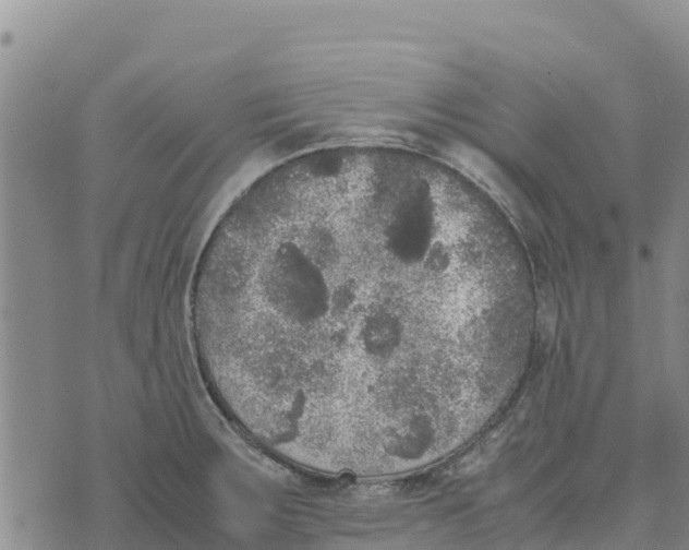 X0000072531283200608041548